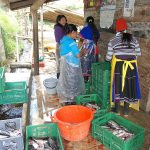 Agricoop - Acquacoltura salva imprese colombiane da narcotraffico