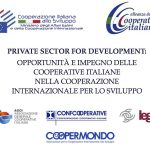 Il Settore Privato nella Cooperazione allo Sviluppo