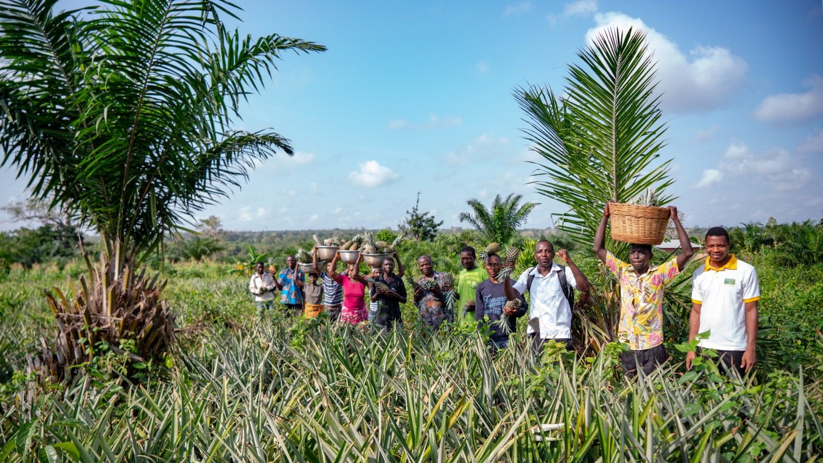 Ananas Dolcetto_Attività in Togo_3