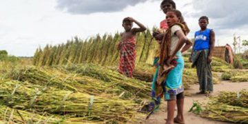 SALsA – Sicurezza Alimentare: rafforzamento del settore agro-zootecnico nelle provincie di Gaza e Sofala