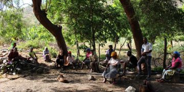 Economia Solidale – Il modello cooperativo per il rafforzamento dei piccoli agricoltori e la valorizzazione del lavoro giovanile e femminile sull’isola di Santiago, Capo Verde