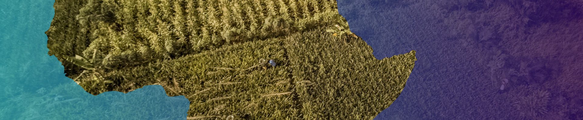 img_header_2