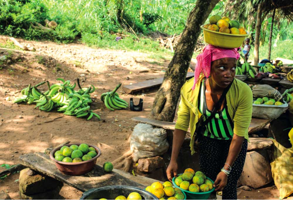 togo1