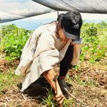 CEI CoLoRes: avviare iniziative produttive supportando giovani e donne a rafforzare le strutture organizzative generando il processo di cambiamento comunitario della Colombia